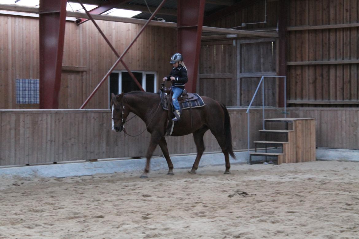 Anden særlig race Savage Fighter (Baby) billede 26