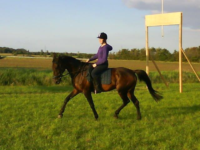 Traver Thor Holmager [R.I.P] billede 30