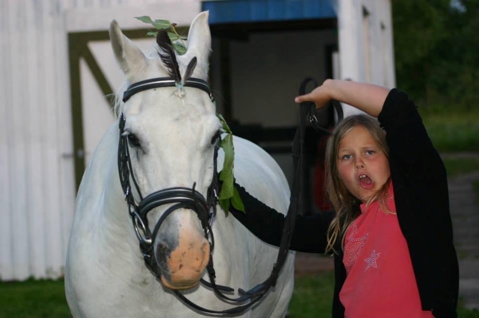Anden særlig race Hovsa billede 8