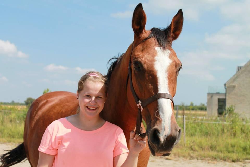 Dansk Varmblod Ronja billede 10