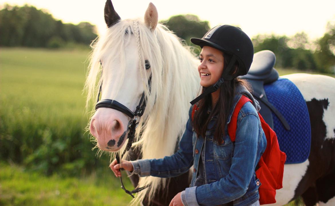 Irish Cob Holm's Filippa Of Stanley - En hest uden rytter, er stadig en hest. Men en rytter uden hest, er kun et menneske..  billede 5