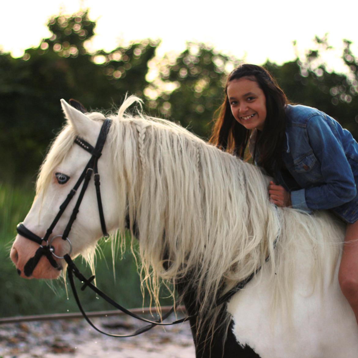 Irish Cob Holm's Filippa Of Stanley - You and me forever! <3
 billede 1