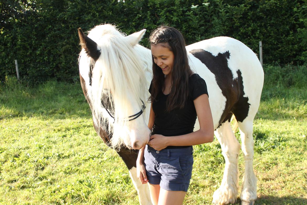 Irish Cob Holm's Filippa Of Stanley - Sommeren 2013 <3 billede 13