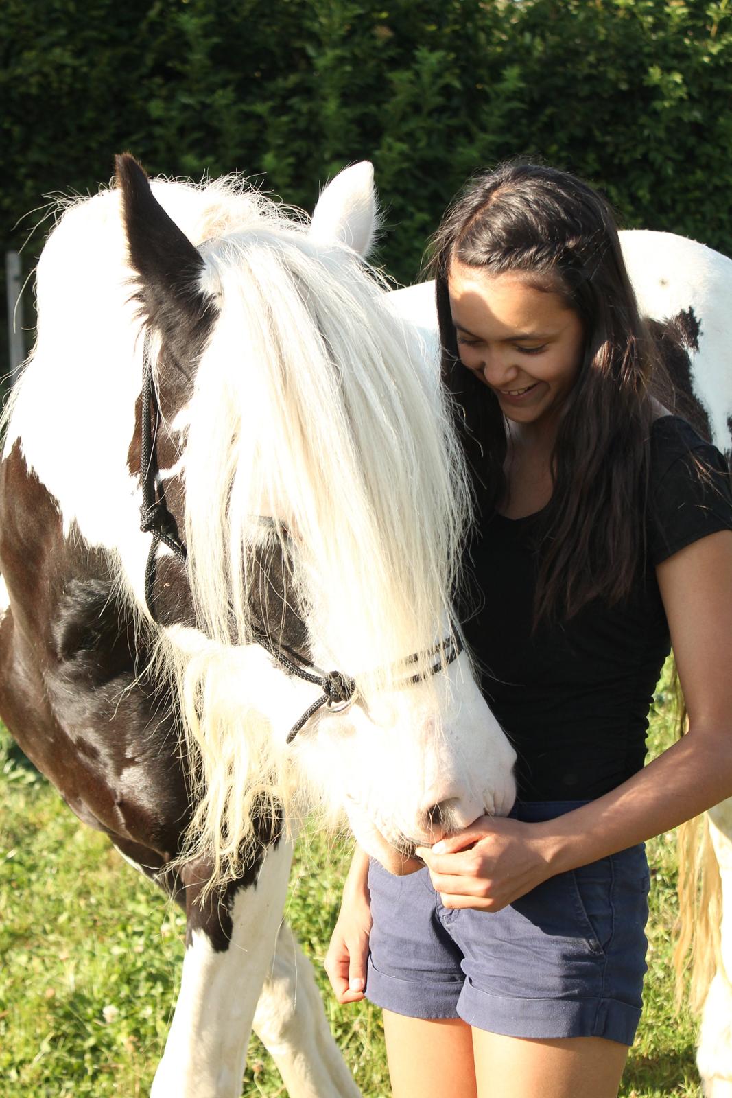 Irish Cob Holm's Filippa Of Stanley - Sommeren 2013 <3 billede 17