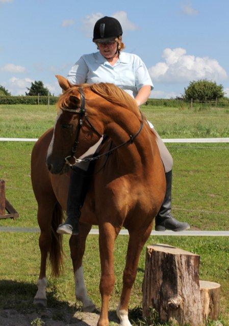 Palomino Brogaards shooting star - Undervisning d.2 juli 2013 billede 31