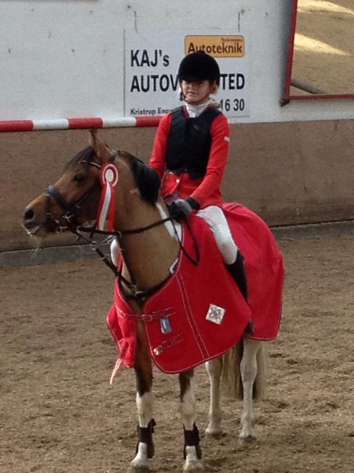 Pinto Holleskovgårds Teckla. - Vinder LA** billede 22