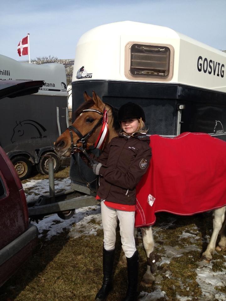 Pinto Holleskovgårds Teckla. - ELSKER billede 23