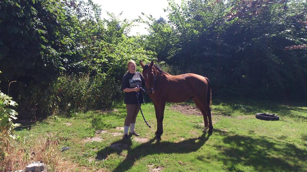 Anden særlig race Sofus - 1 år og 2 mdr.  billede 14