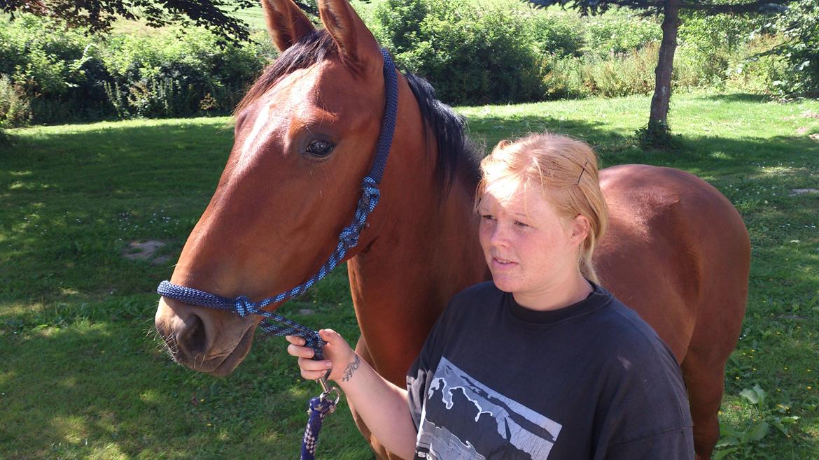 Anden særlig race Sofus billede 17