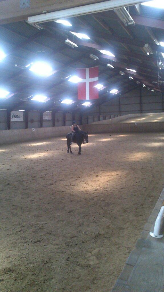 Frieser Thea billede 4