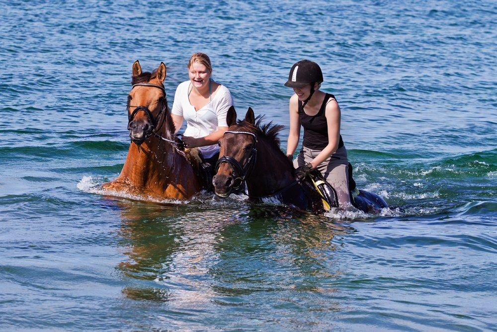 Anden særlig race Paskal - Fra den hyggeligste tur d. 23 juli 2013! billede 2
