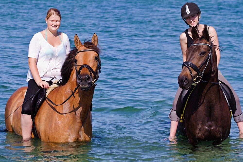 Anden særlig race Paskal - Fra den hyggeligste tur d. 23 juli 2013! billede 3