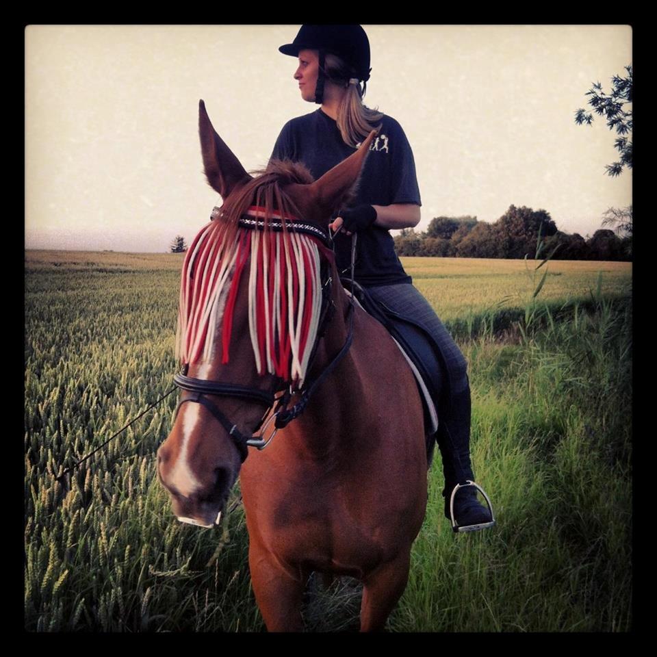 Traver sødte - 17 juli 2013. Foto:Thomas. Kigger på hjorte i marken. Men sødte ser vist kun -MAD- igennem gardinet :) billede 2