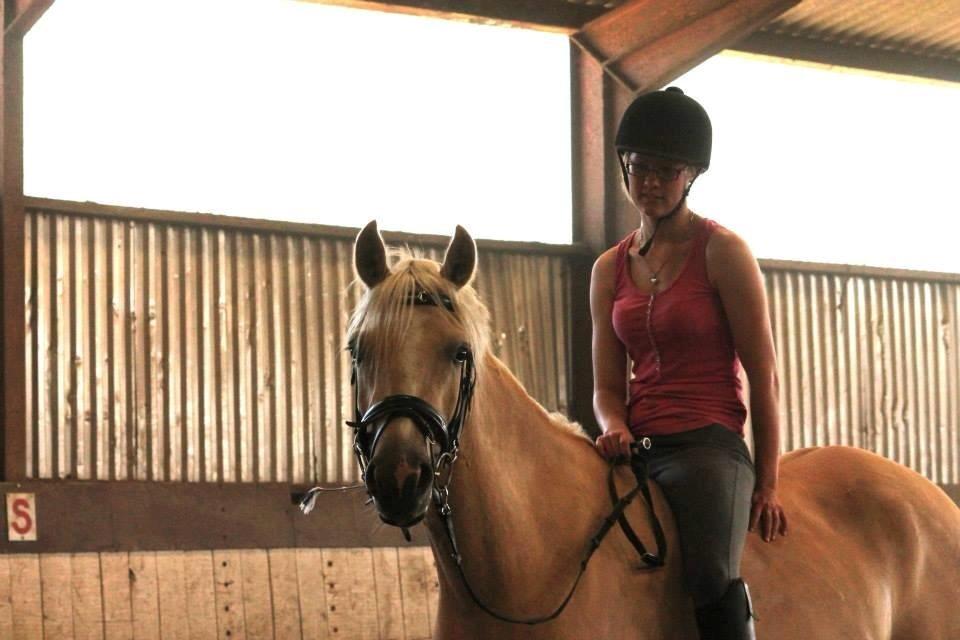 DSP Fjordbakkens Freja ~*Golden<3* - Hygge!  billede 20