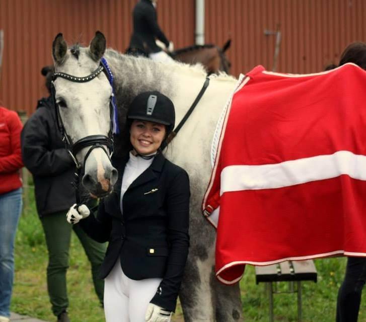 Knabstrupper Søgaardens Marlboro - Første stævne  billede 19