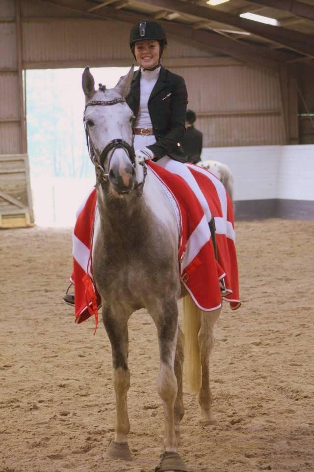 Knabstrupper Søgaardens Marlboro - Venter på præmieoverrækkelse :) billede 4