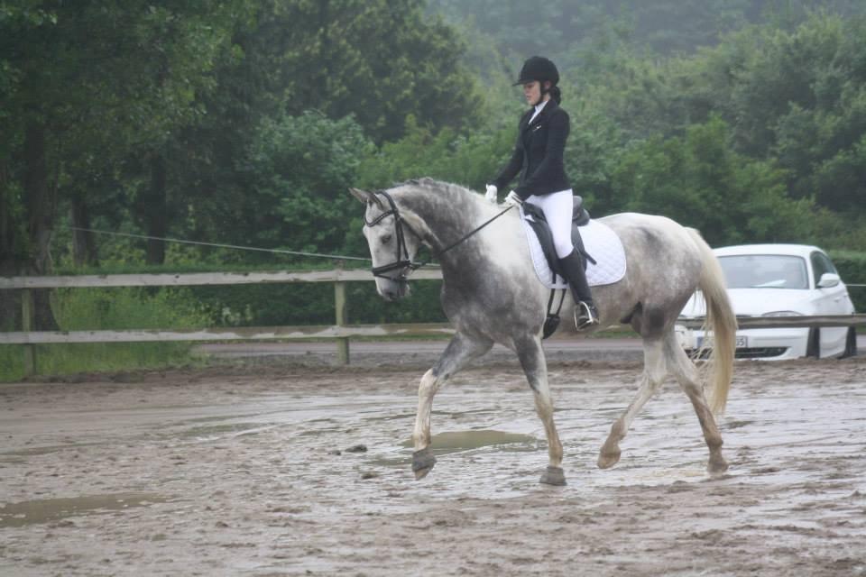Knabstrupper Søgaardens Marlboro billede 9