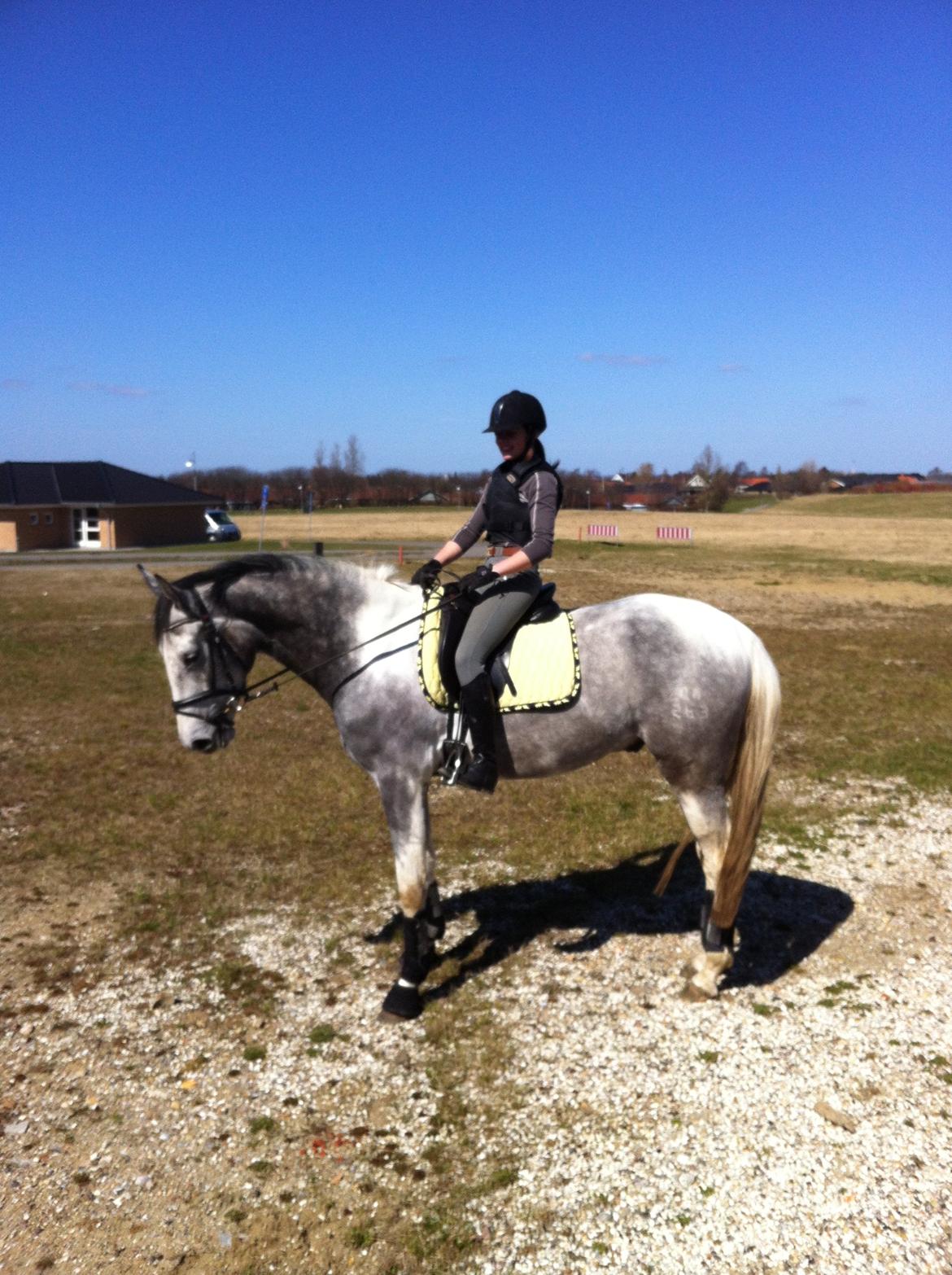 Knabstrupper Søgaardens Marlboro - Vores første tur :) billede 13