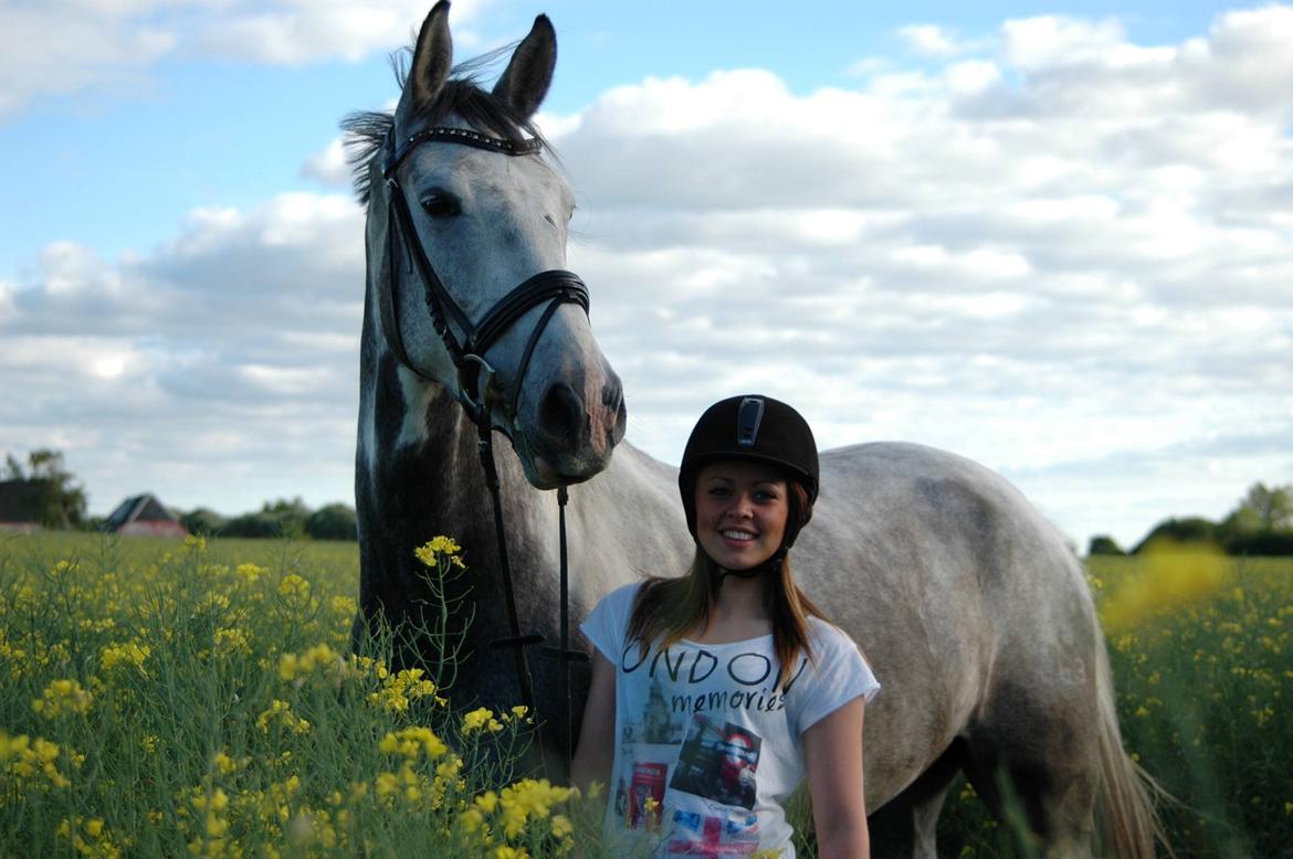 Knabstrupper Søgaardens Marlboro billede 16