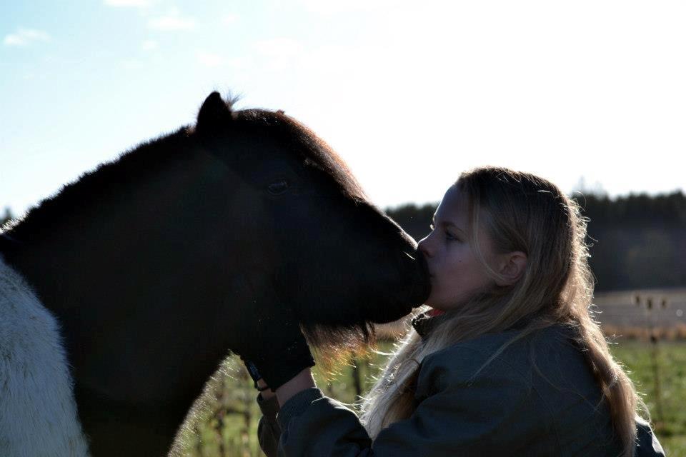 Shetlænder Stjernens Iza - Møs fra os:-*
Billedet er taget af Rose Albjerg Rudolph - RAR foto  billede 4