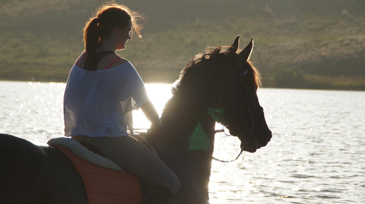 Dansk Varmblod - Laurberggaard's Ludwig - Min smukkeste skat <3 billede 5