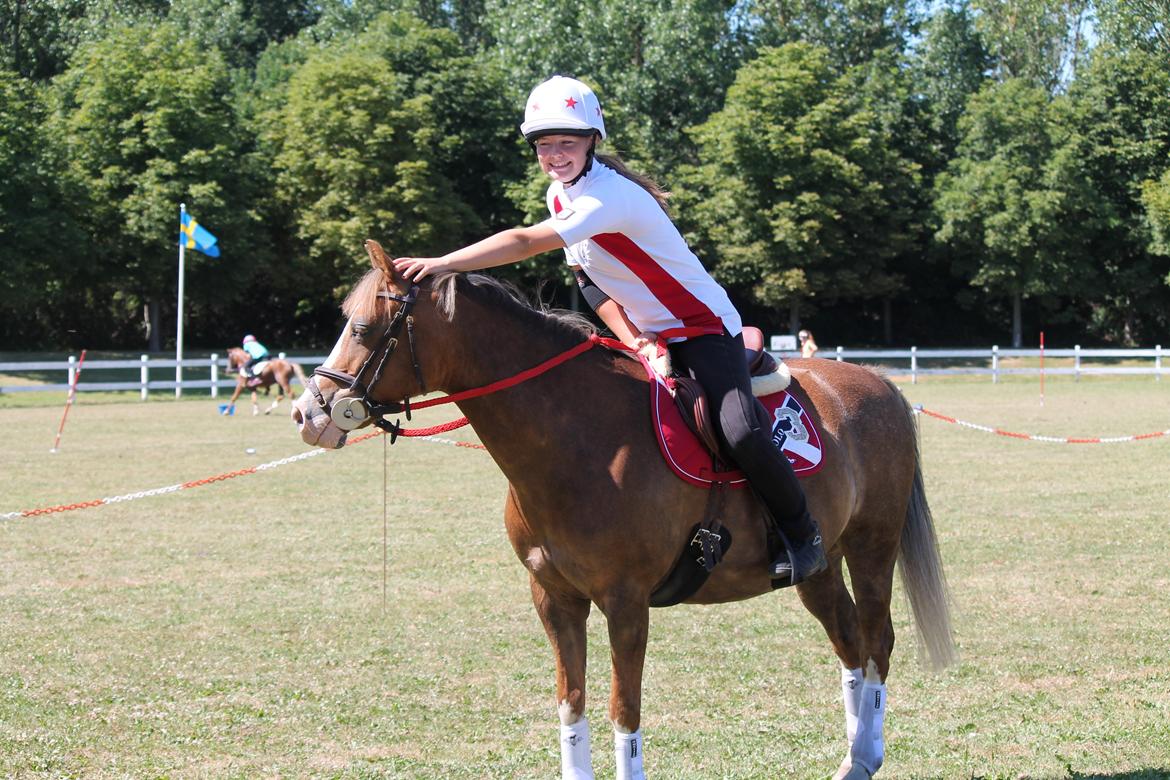 Tysk Sportspony Fee 768 - SMIL :D lige inden vi skulle ind første gang  billede 9