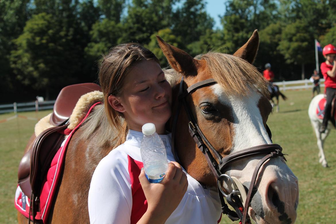 Tysk Sportspony Fee 768 - søde Fee :D billede 10