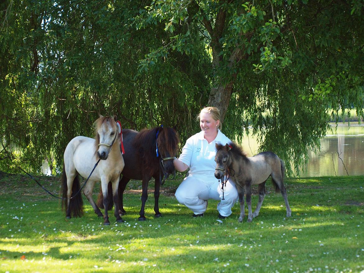Miniature Søsteds Caro W. billede 19