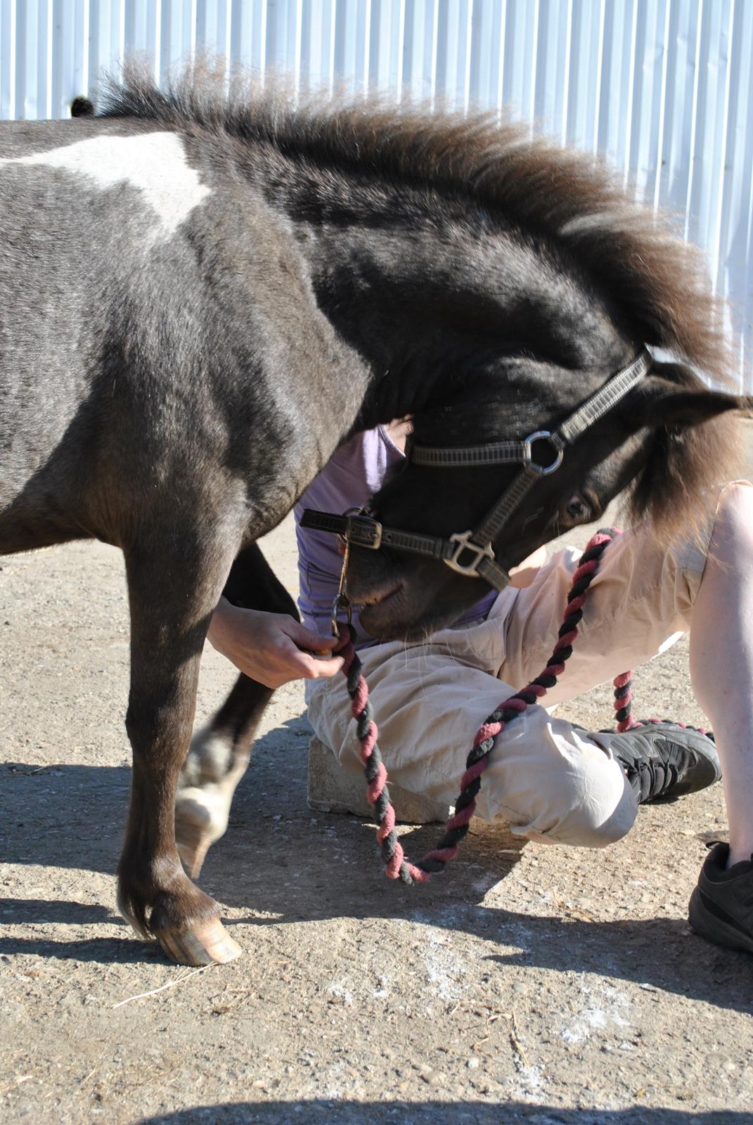 Miniature I am isabella billede 13