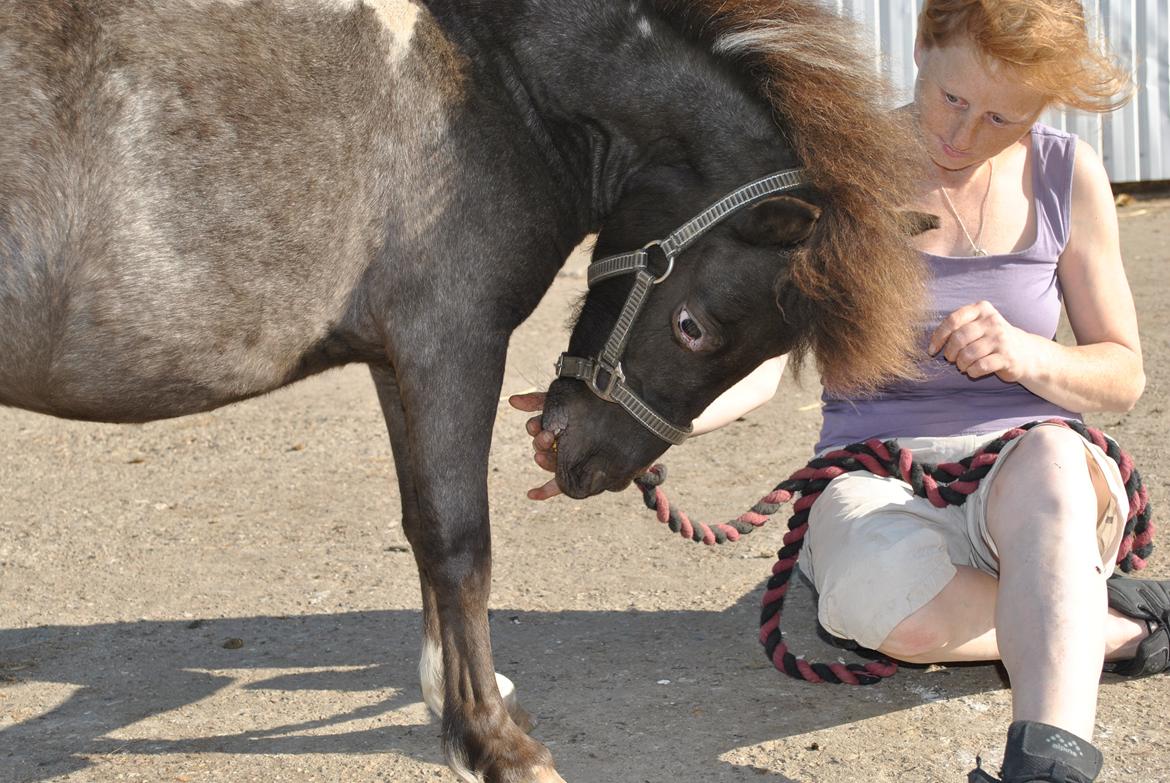 Miniature I am isabella billede 14