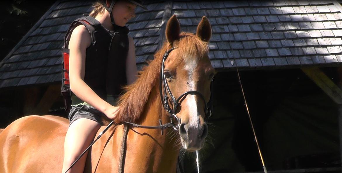 Anden særlig race Carlo - Badesøen (sidste år) billede 4