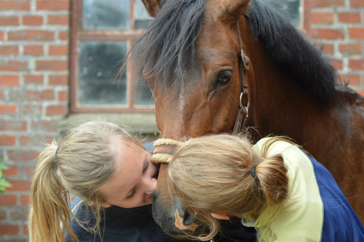 DSP Stidsbjergs Night Whisper - Mine piger.<3 billede 11