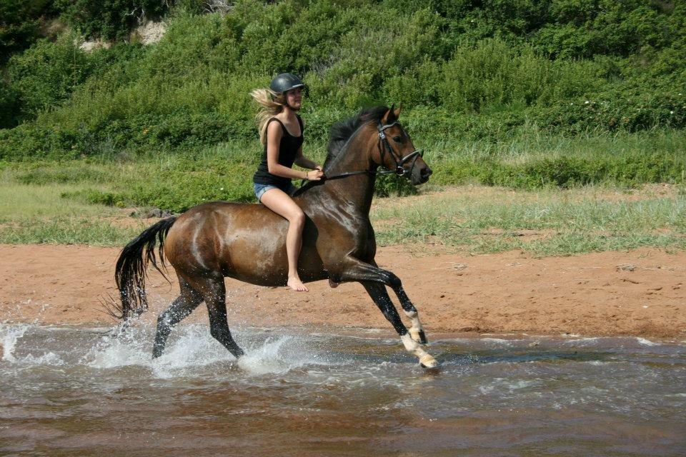 DSP Stidsbjergs Night Whisper - Det handler ikke om at turde. Det handler om at have lyst." billede 4