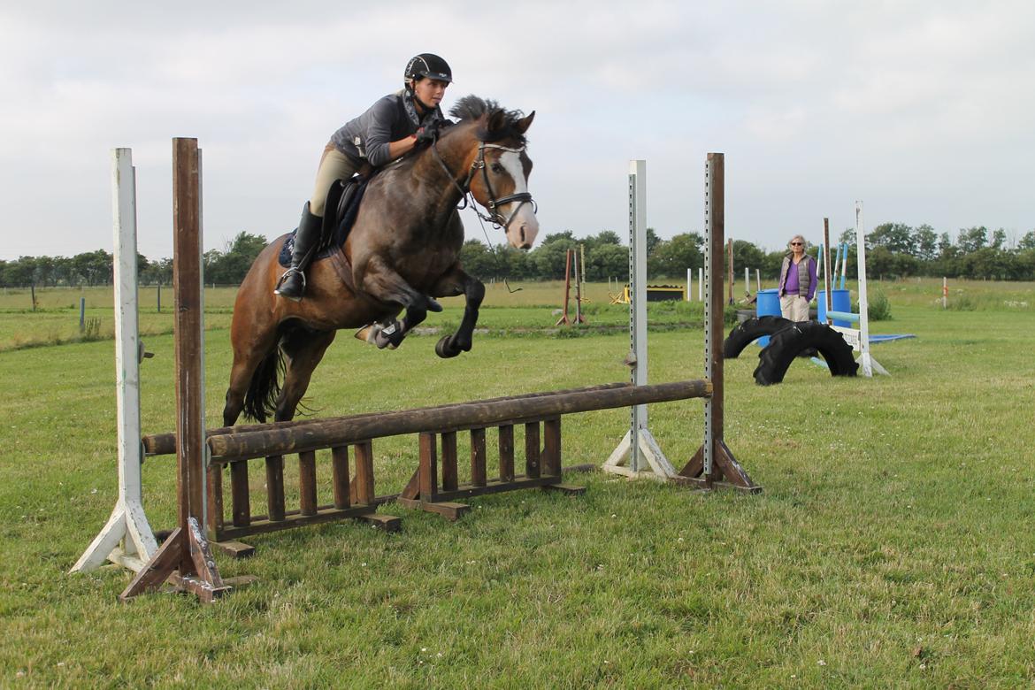 DSP Toftgaards Nice Device billede 10