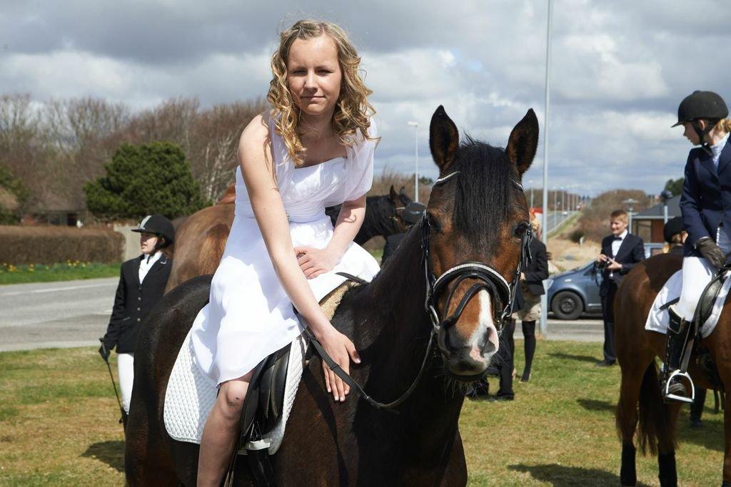 DSP Stidsbjergs Night Whisper - As long as i live, i will love you<3 billede 6