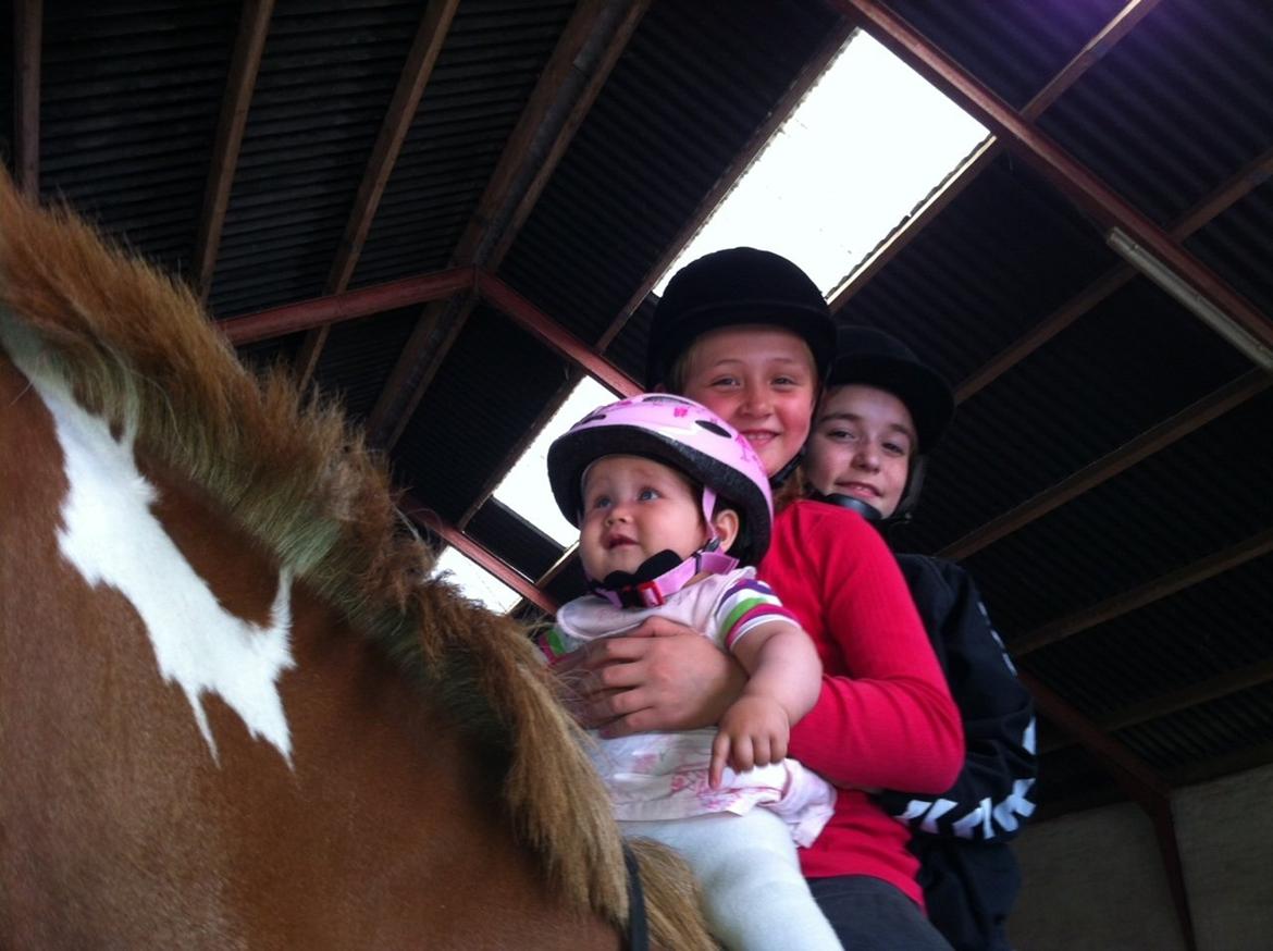 Pinto Indy Girl [tidl. Hest] - Min lillesøster Olivia forest mig i midten og Anna bagerst på den sødeste pony. billede 13