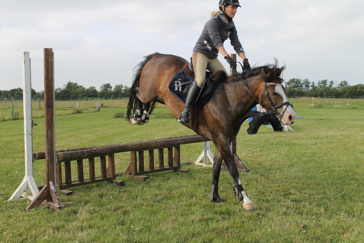 DSP Toftgaards Nice Device billede 11