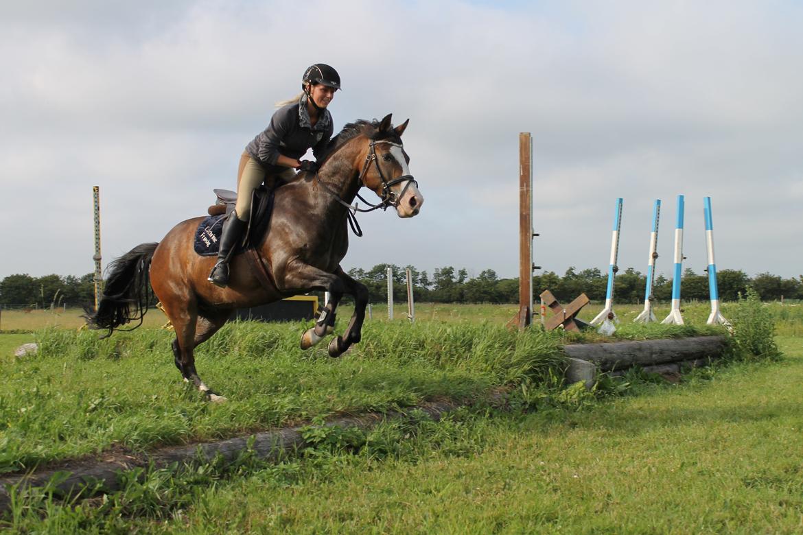 DSP Toftgaards Nice Device billede 12