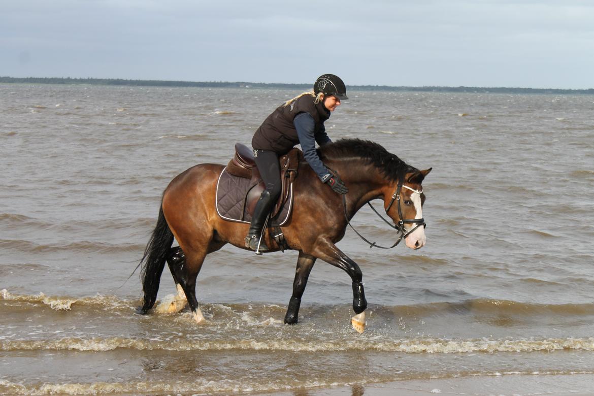 DSP Toftgaards Nice Device billede 13