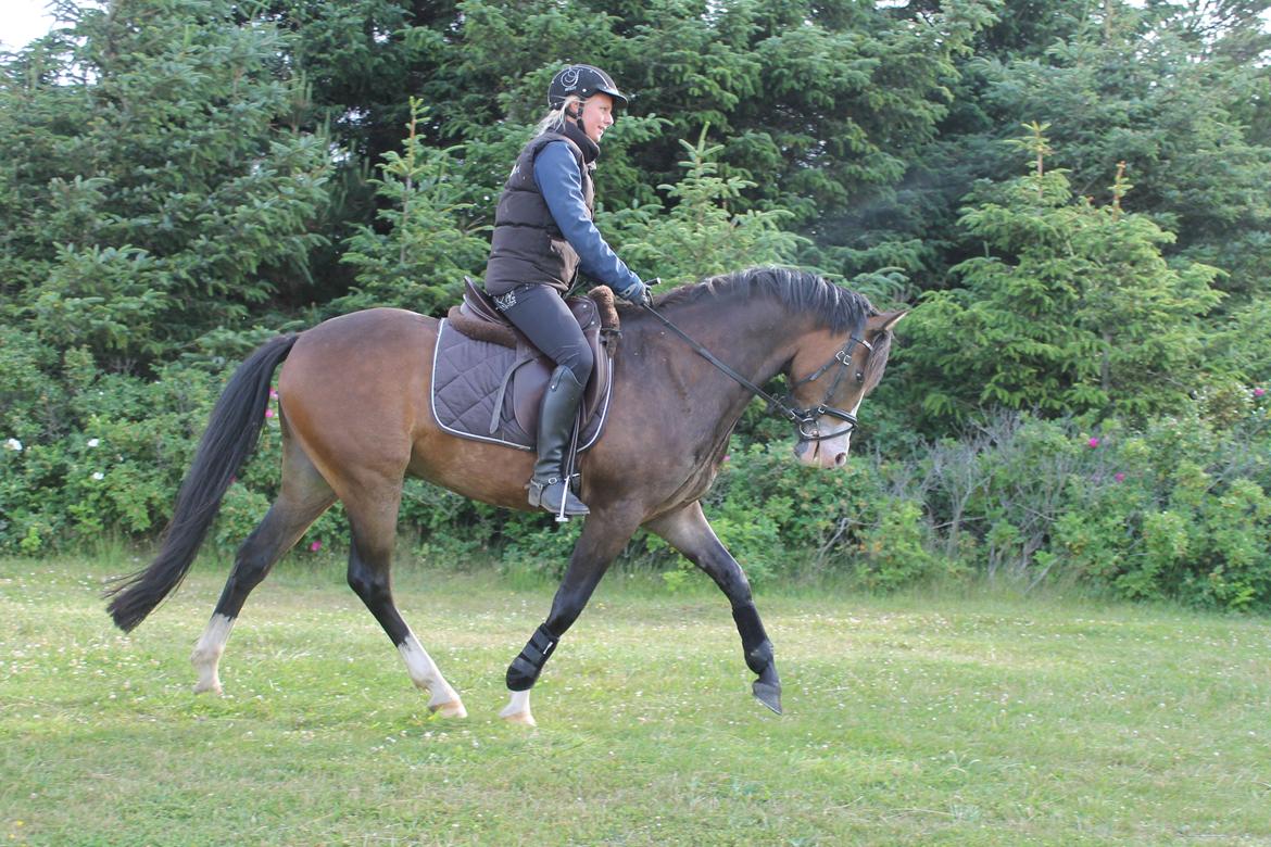 DSP Toftgaards Nice Device billede 14