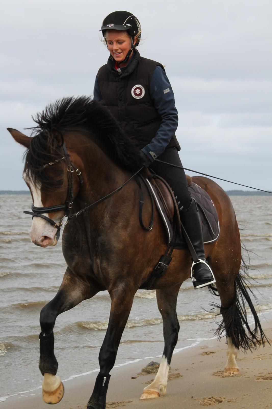 DSP Toftgaards Nice Device billede 18