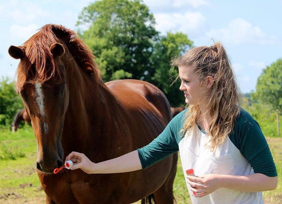 Fuldblod (XX) Red Lightning. billede 15