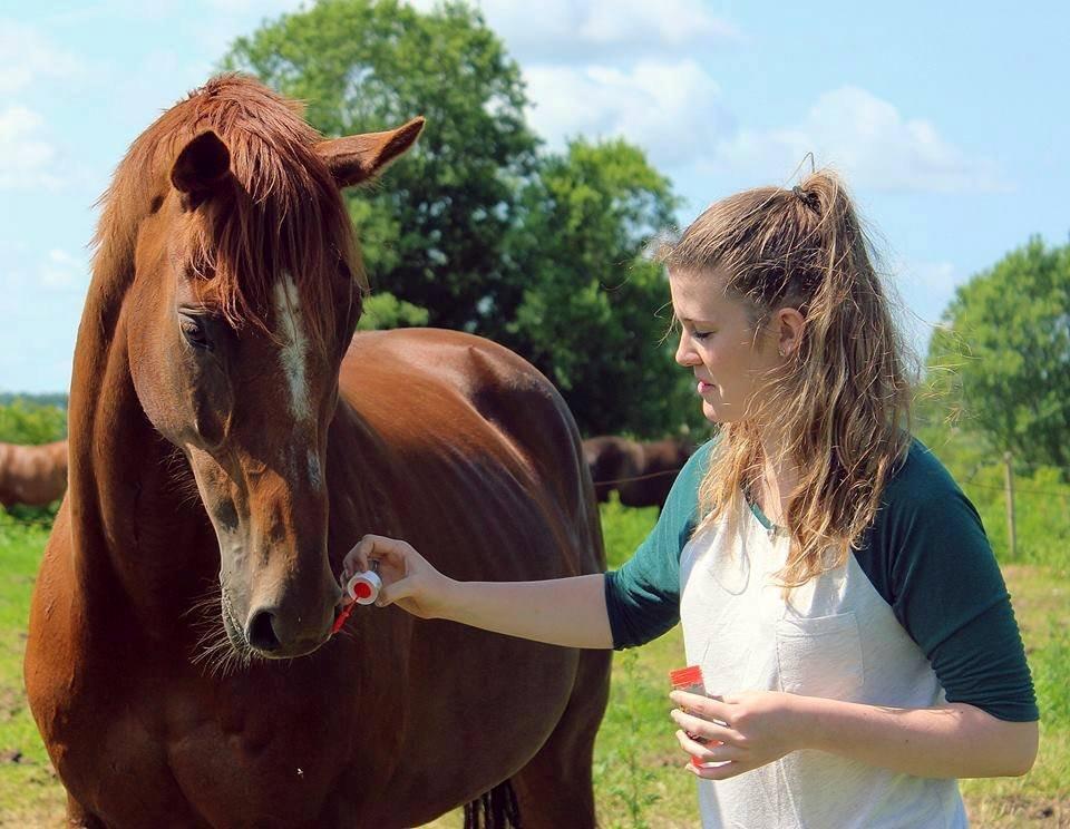 Fuldblod (XX) Red Lightning. billede 17