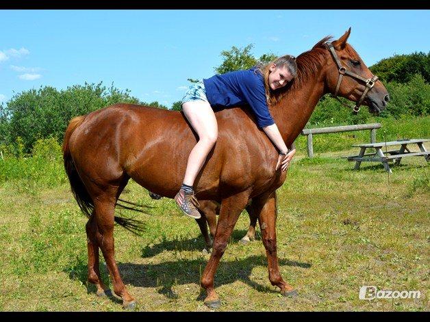 Fuldblod (XX) Red Lightning. billede 30