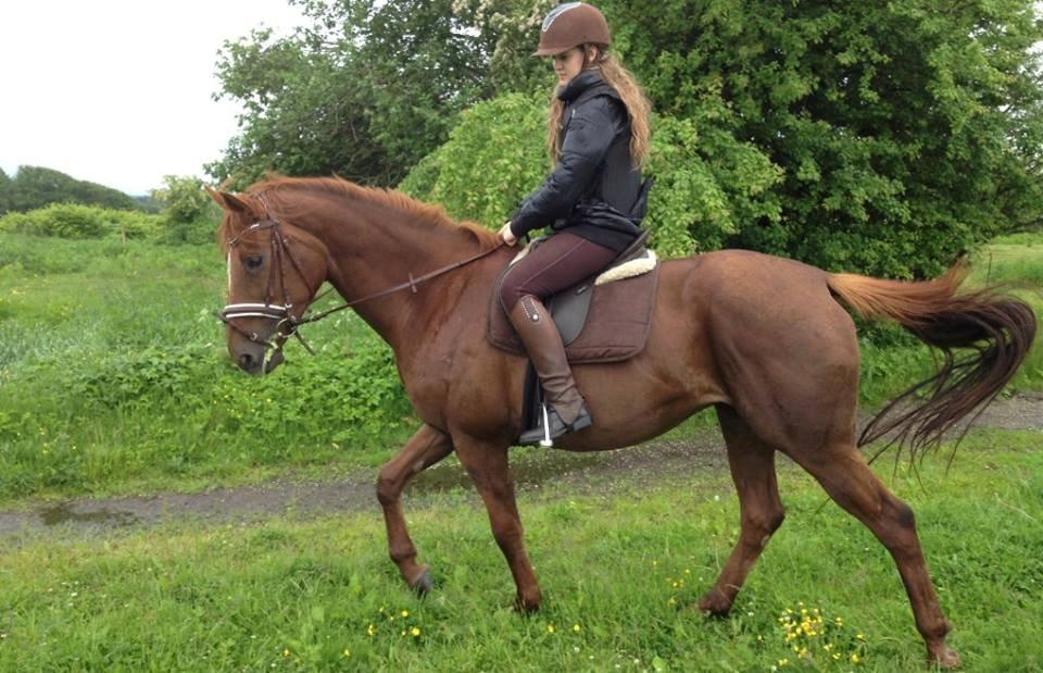 Fuldblod (XX) Red Lightning. billede 32