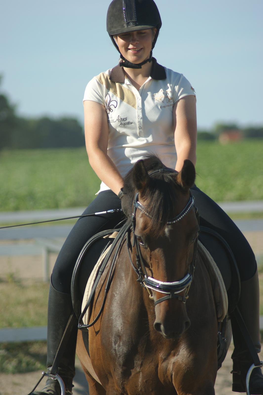 Dansk Varmblod La Vær Firfod - Juli 2013 billede 16