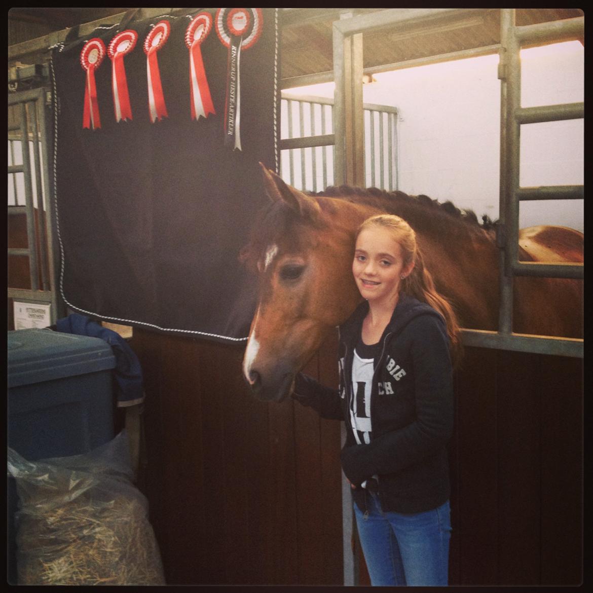 New Forest Orchid's Sheila B-pony billede 14