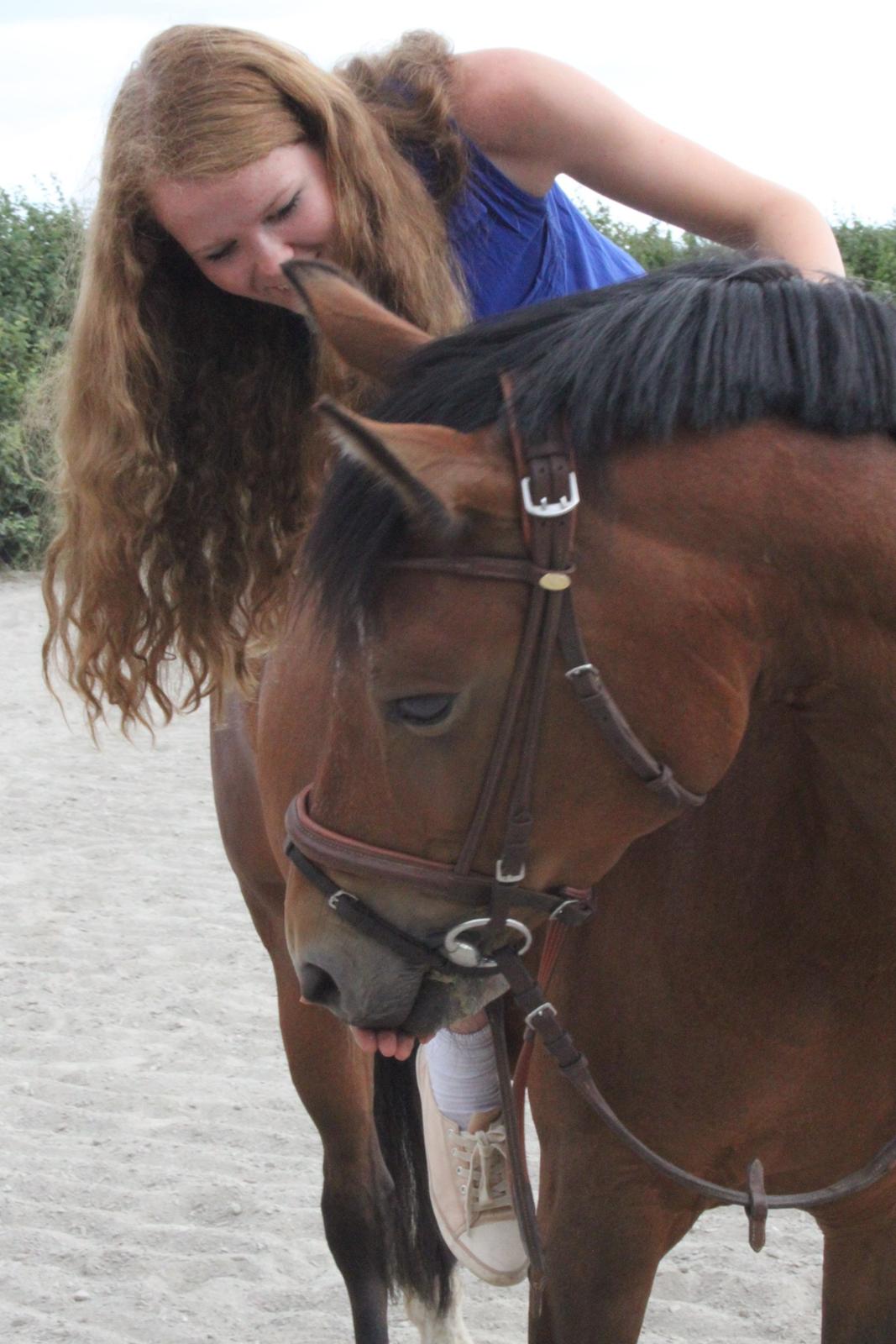 Welsh Partbred (Sec F) - Donna "Hougård" - Min fantastiske pony pige <3 Foto: Camilla med mit kamera billede 3