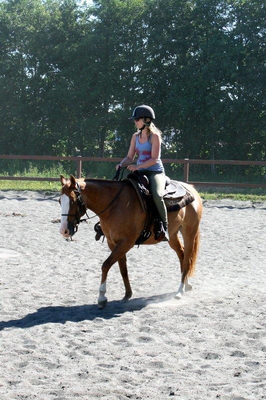 Paint Miss Dakota Salsa - Solgt billede 15