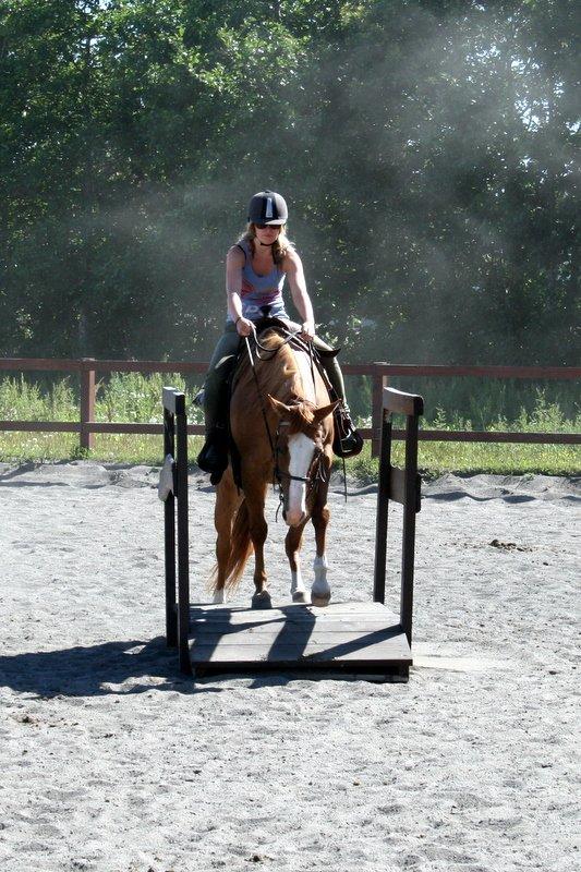 Paint Miss Dakota Salsa - Solgt billede 10